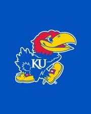 image of jayhawk